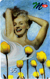mtulips.gif (34113 bytes)